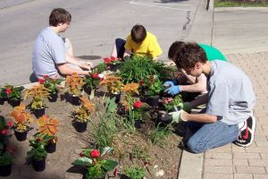 West Chicago Blooming Fest 2017