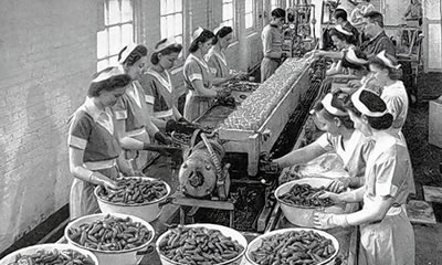 Vintage photo of food processing line