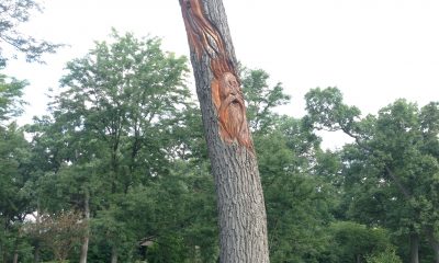 Photo of Wood Spirits carving in West Chicago