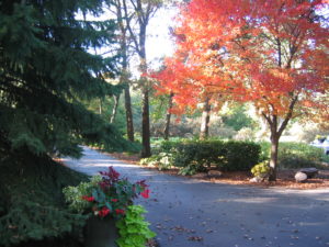 Photo of autumn path