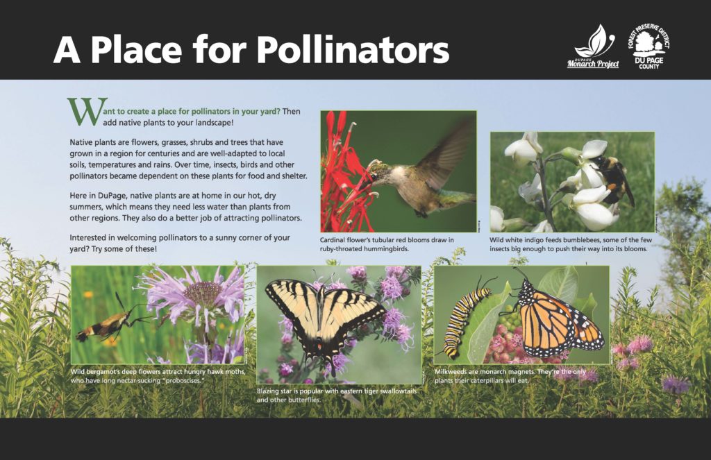 A Place for Pollinators poster