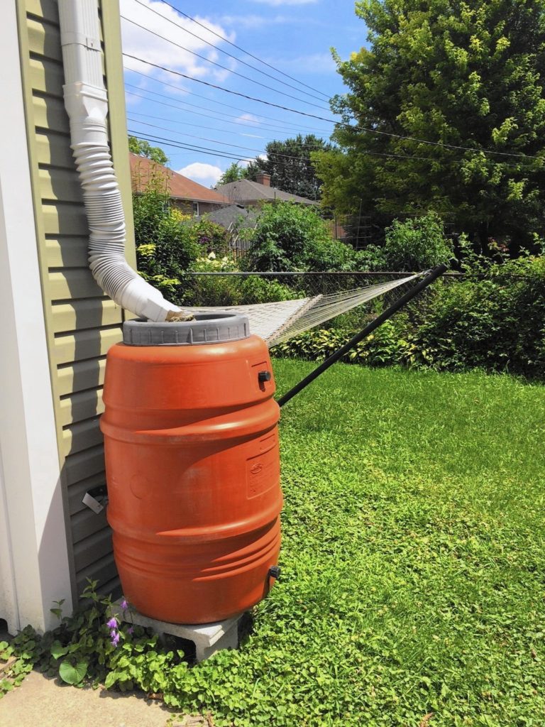 orange rain barrel with the gutter connected so water flows into barrel
