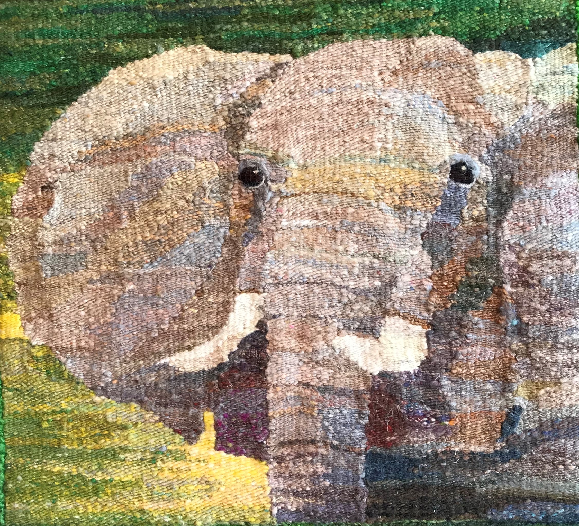Sharon Malec artwork of elephant with tusks