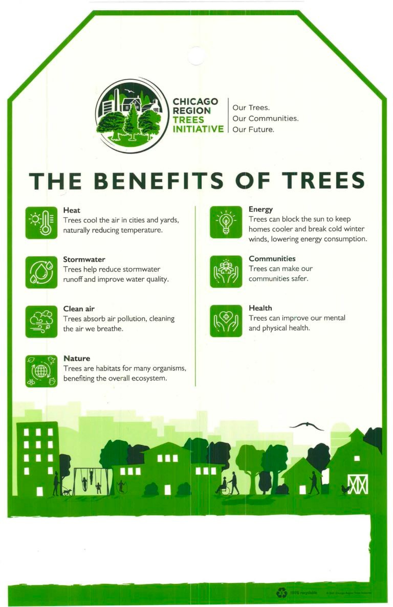Benefits of trees poster