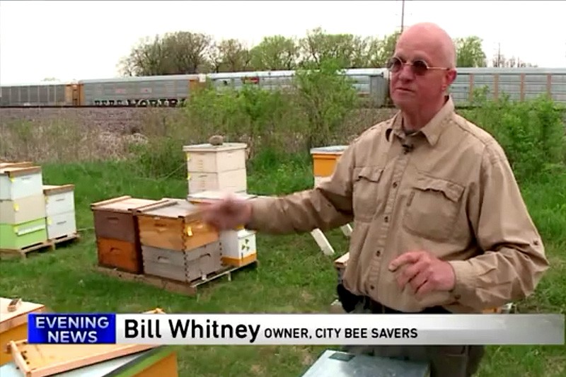 Bill Whitney at City Bees