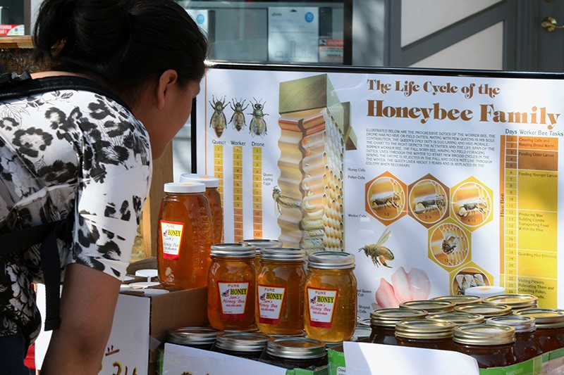 Honey display on table