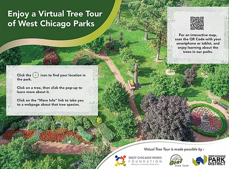 Virtual Tree Tour graphic