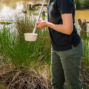 Field worker examining water sample for mosquitoes