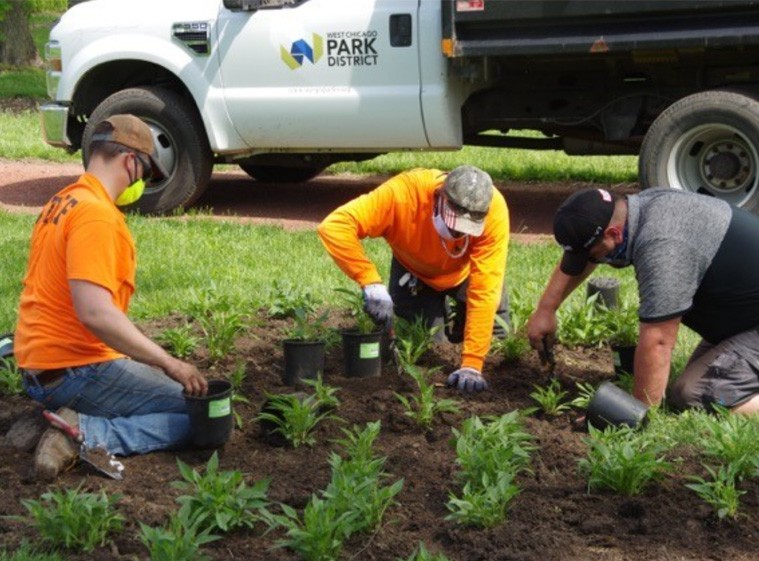 Workers doing planting