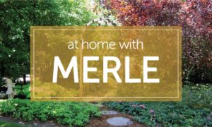 At Home with Merle