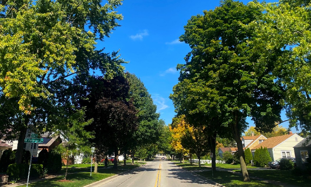 West Chicago Urban Forestry