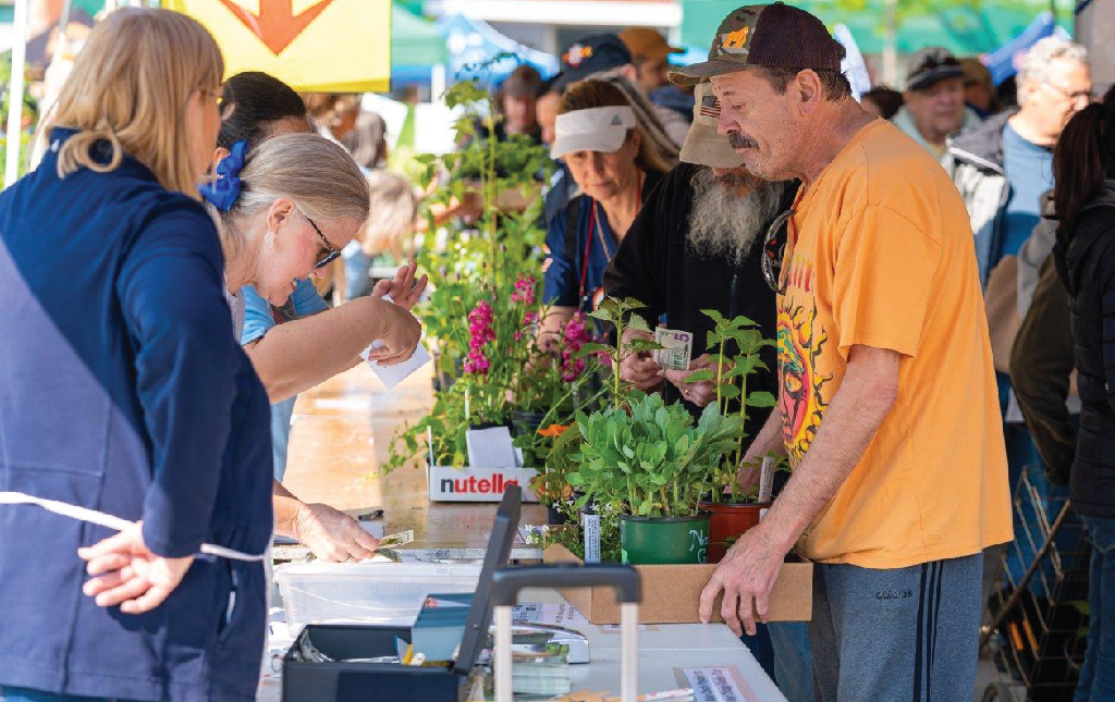 People shopping or plants at plant sale.