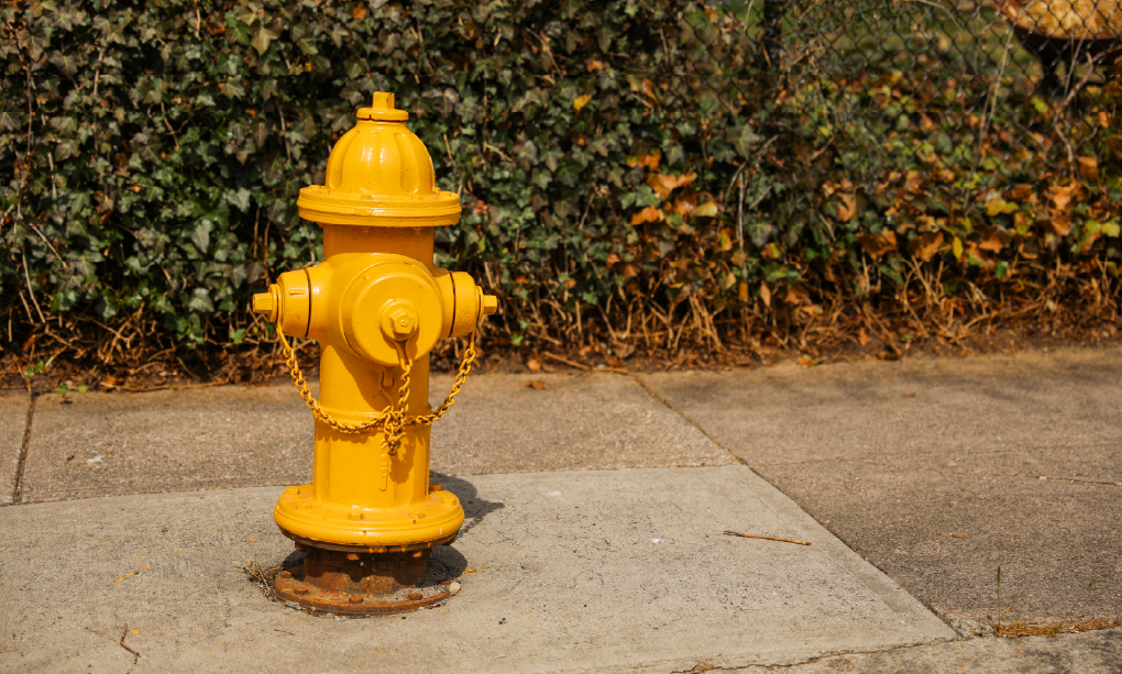 Yellow Fire Hydrant-01